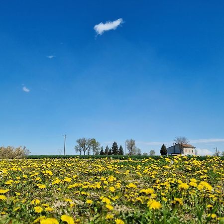 Antico Pioppo Bed & Breakfast Sale Dış mekan fotoğraf