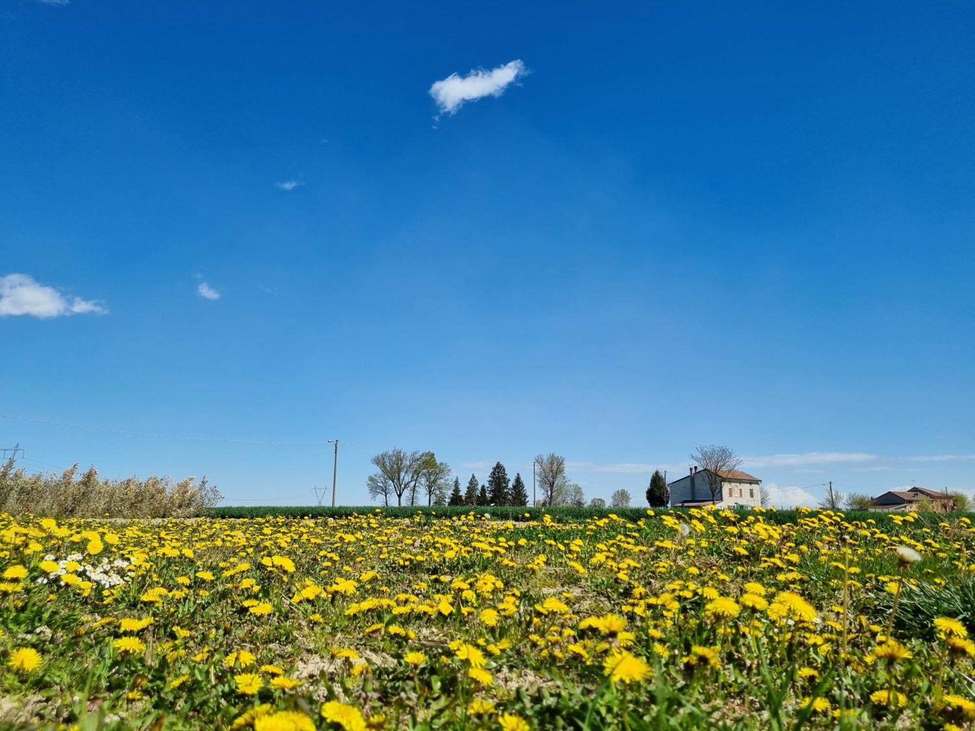 Antico Pioppo Bed & Breakfast Sale Dış mekan fotoğraf